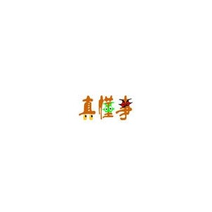 真懂事