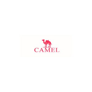 AMCAMEL