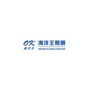 海洋王