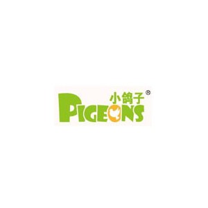 小鸽子