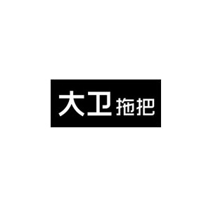 大卫拖把
