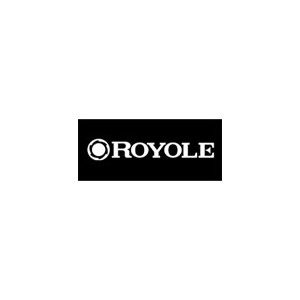 Royole柔宇