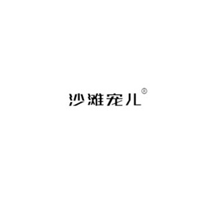 沙滩宠儿