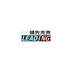 领先未来