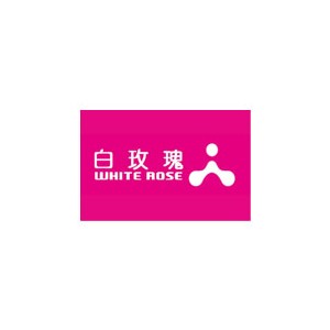 WHITE ROSE白玫瑰