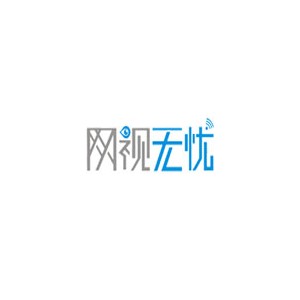 网视无忧