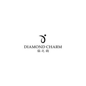 钻之韵