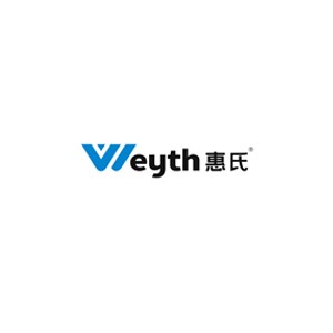 惠氏安全智能锁