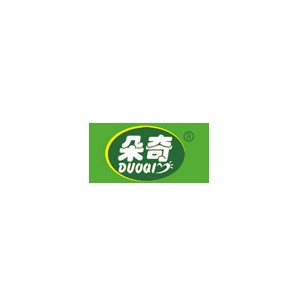 朵奇