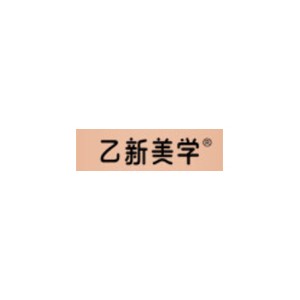 乙新美学