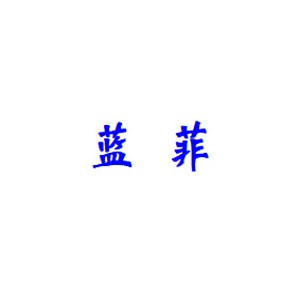 蓝菲艺术漆