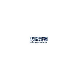 欣橙宠物