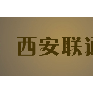西安联通