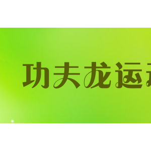 功夫龙运动