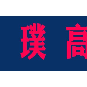 璞高