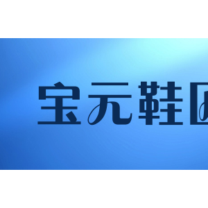 宝元鞋匠