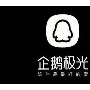 企鹅极光盒子