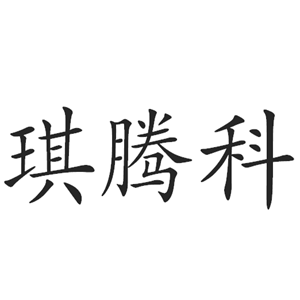 琪腾科技