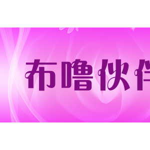 布噜伙伴