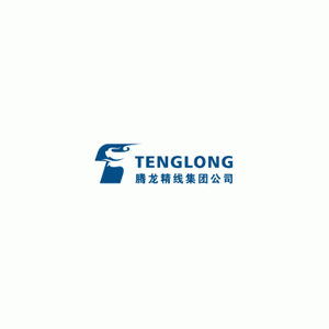 腾龙/TENGLONG