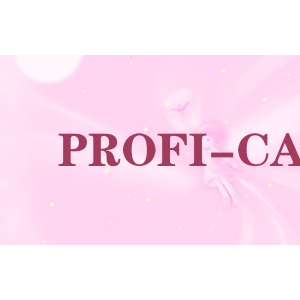 PROFI-CAR