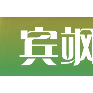 宾飒