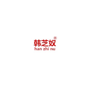 韩芝奴