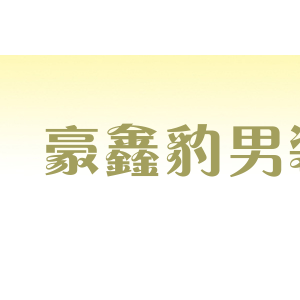 豪鑫豹男装