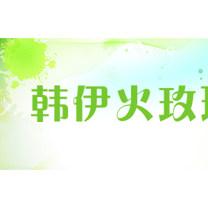 韩伊火玫瑰