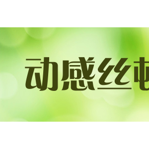 动感丝顿/DONGGANSIDUN