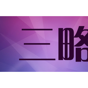 三略/sellergate