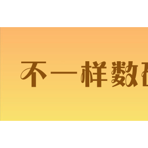 不一样数码