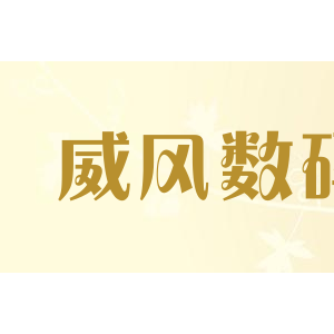 威风数码