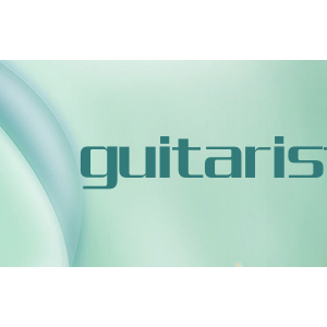 guitarist