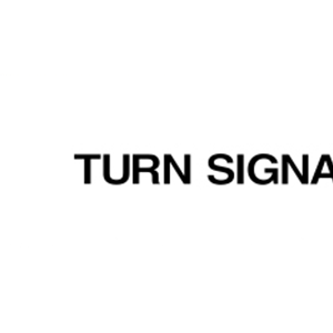 TURN SIGNAL