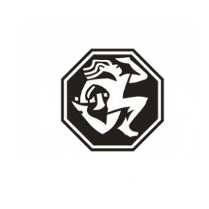 三阳磐古