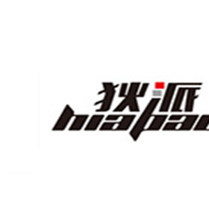 狄派电脑