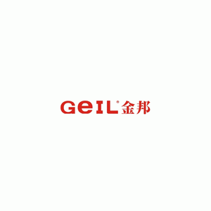 金邦/GEIL