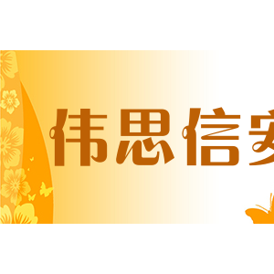 伟思信安