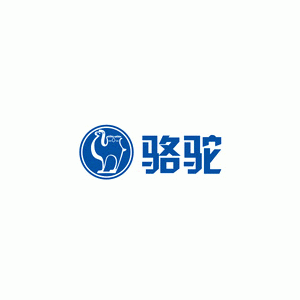 骆驼汽配/Camel