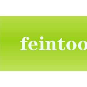 feintool