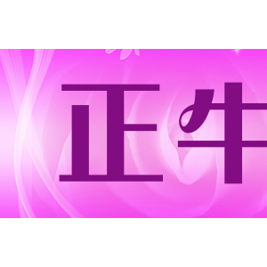 正牛