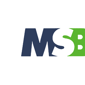 立航/MSB