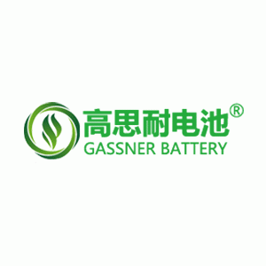 高思耐