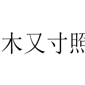 木又寸照明