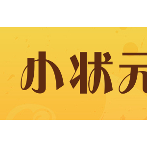小状元电子
