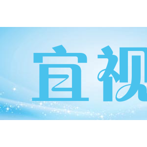 宜视