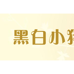 黑白小猪