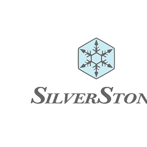 银欣/SilverStone