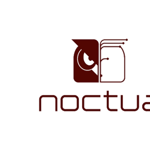 猫头鹰/Noctua